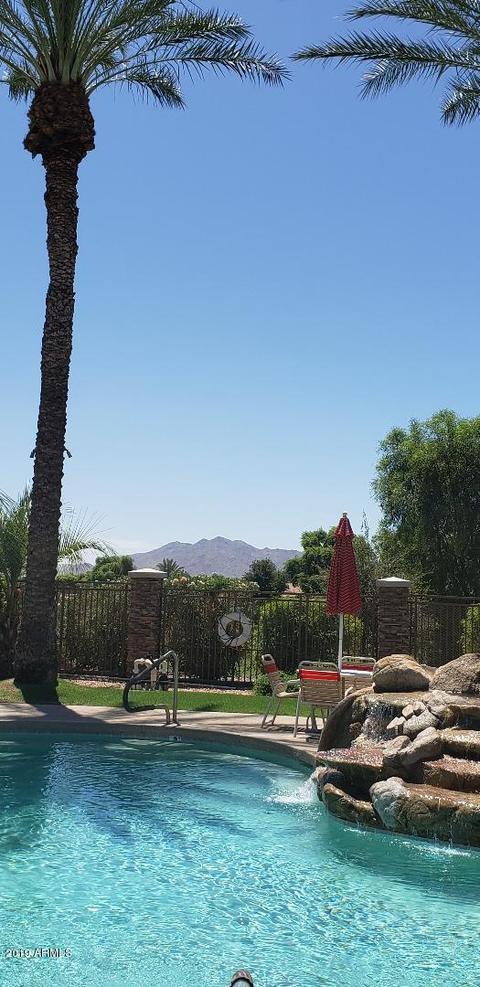 4431 E Ficus Way, Gilbert, AZ 85298 photo 49