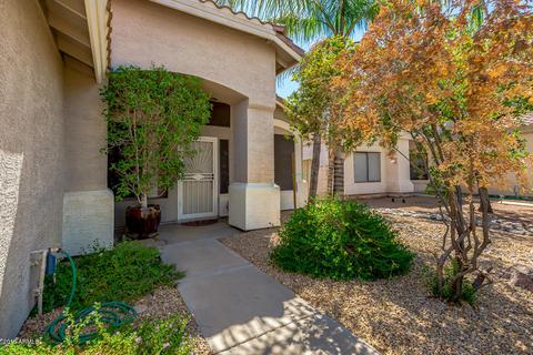 1663 S Maple --, Mesa, AZ 85206 photo 3