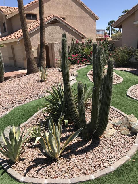 3501 E Dry Creek Rd, Phoenix, AZ 85044 photo 49