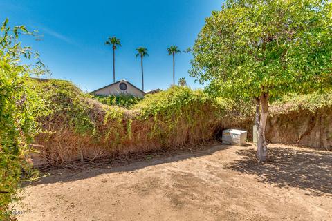 4611 E Contessa St, Mesa, AZ 85205 photo 38