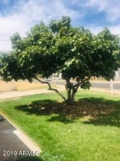 637 E Pepper Pl, Mesa, AZ 85203 photo 31