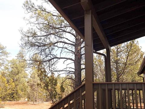 3034 Aspen Rd, Overgaard, AZ 85933 photo 11