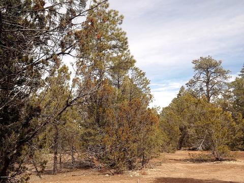 3034 Aspen Rd, Overgaard, AZ 85933 photo 10