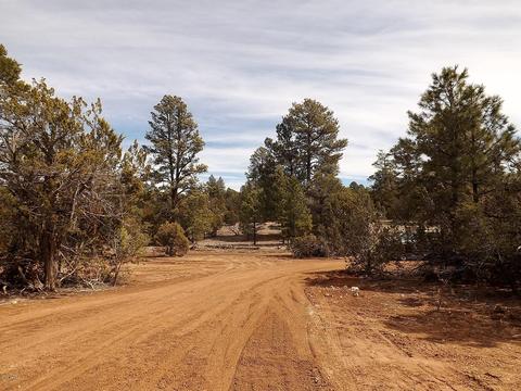 3034 Aspen Rd, Overgaard, AZ 85933 photo 18