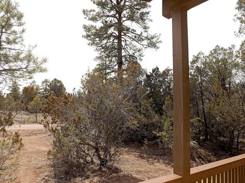 3034 Aspen Rd, Overgaard, AZ 85933 photo 17