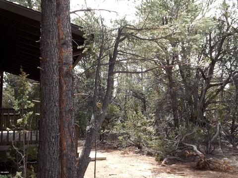 3034 Aspen Rd, Overgaard, AZ 85933 photo 12