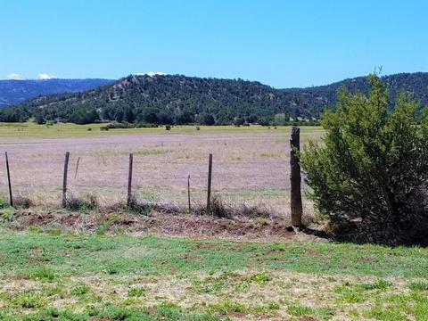 821 S Amity Ln, Eagar, AZ 85925 photo 45