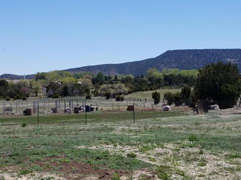 821 S Amity Ln, Eagar, AZ 85925 photo 47
