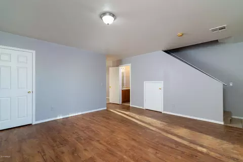 728 E Apollo Rd, Phoenix, AZ 85042 photo 15