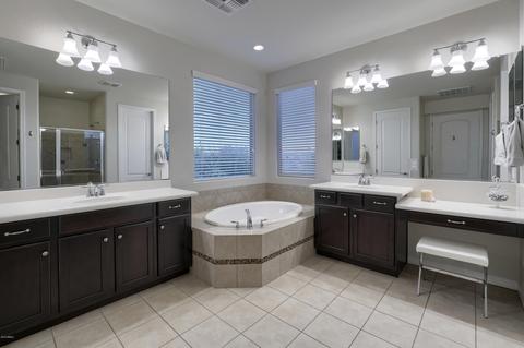 3609 E Half Hitch Pl, Phoenix, AZ 85050 photo 23