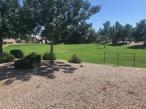 2428 S Bernard --, Mesa, AZ 85209 photo 2