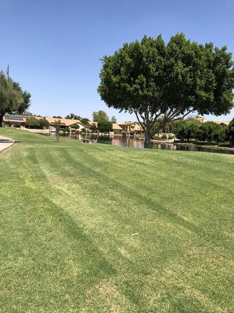 338 E Page Ave, Gilbert, AZ 85234 photo 8