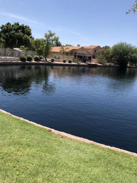 338 E Page Ave, Gilbert, AZ 85234 photo 11