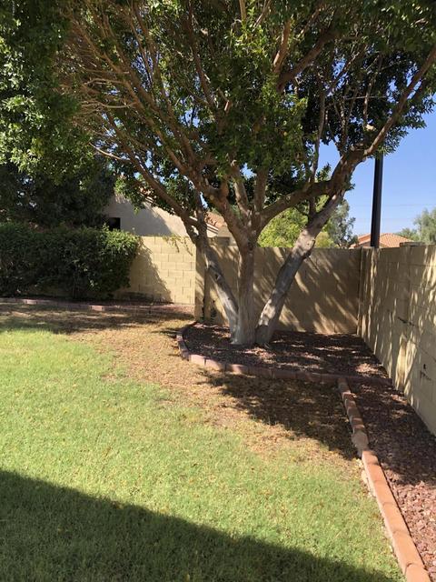 338 E Page Ave, Gilbert, AZ 85234 photo 3