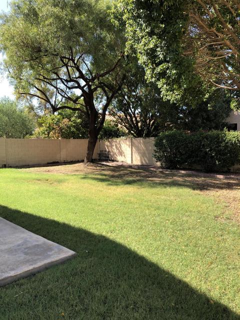 338 E Page Ave, Gilbert, AZ 85234 photo 4
