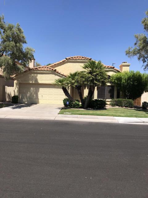 338 E Page Ave, Gilbert, AZ 85234 photo 7