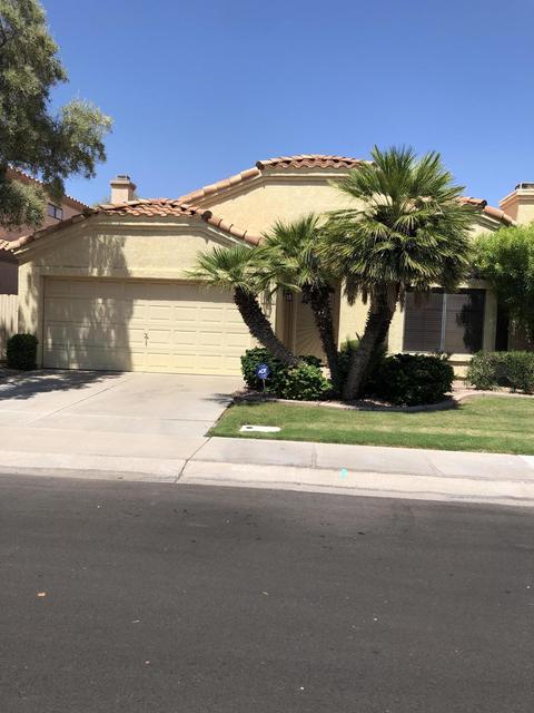 338 E Page Ave, Gilbert, AZ 85234 photo 6