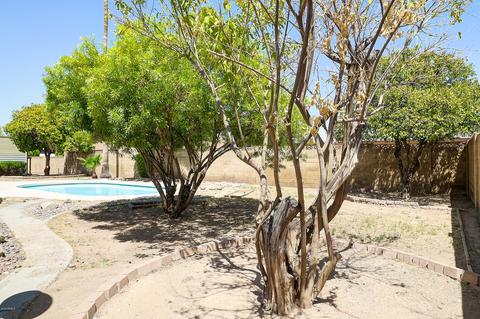 6024 E Hillview St, Mesa, AZ 85205 photo 30