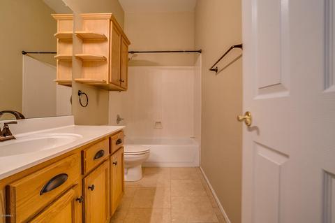 10127 E Pantera Ave, Mesa, AZ 85212 photo 13