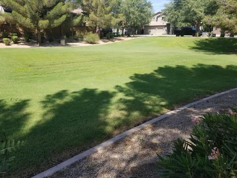 1713 E Cotton Ct, Gilbert, AZ 85234 photo 49