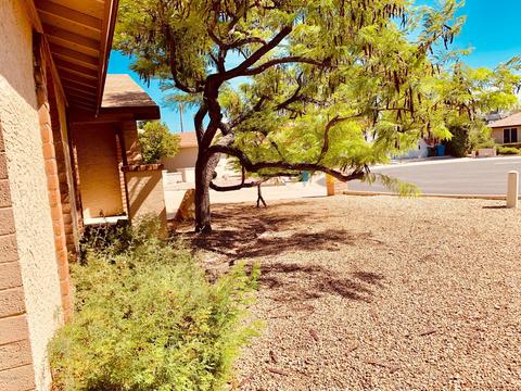 4140 W Pershing Ave, Phoenix, AZ 85029 photo 13