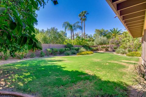 3351 E Hatcher Rd, Phoenix, AZ 85028 photo 47