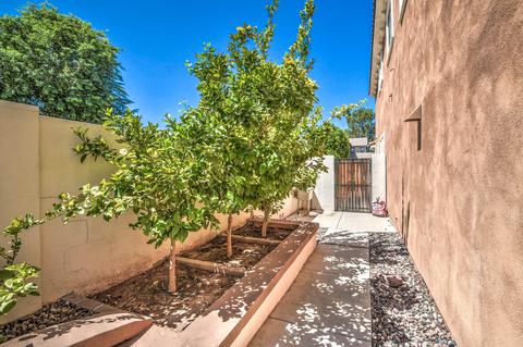 9223 S Beck Ave, Tempe, AZ 85284 photo 69