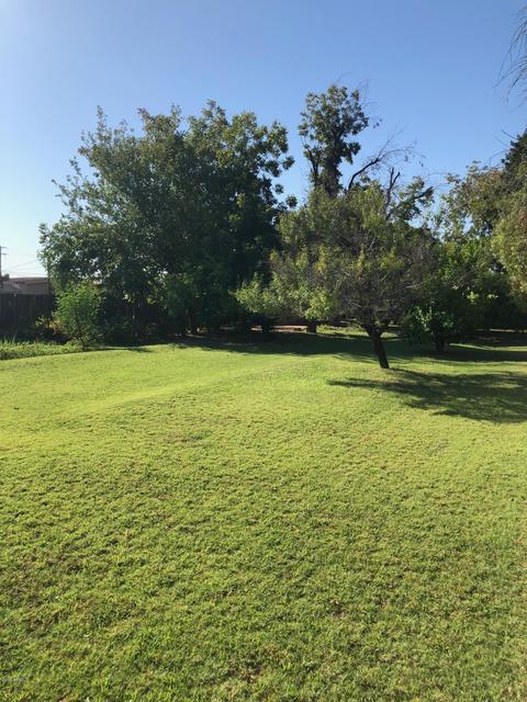 540 E Millett Ave, Mesa, AZ 85204 photo 20
