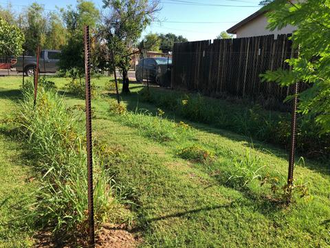 540 E Millett Ave, Mesa, AZ 85204 photo 23