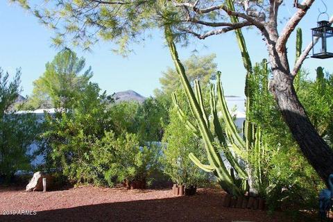 1315 E Winged Foot Rd, Phoenix, AZ 85022 photo 15