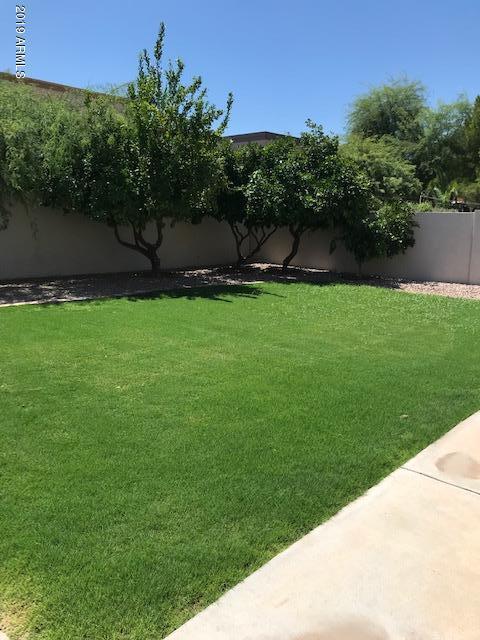 719 W Constitution Dr, Gilbert, AZ 85233 photo 16