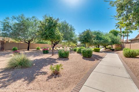 308 E Indigo St, Mesa, AZ 85201 photo 43