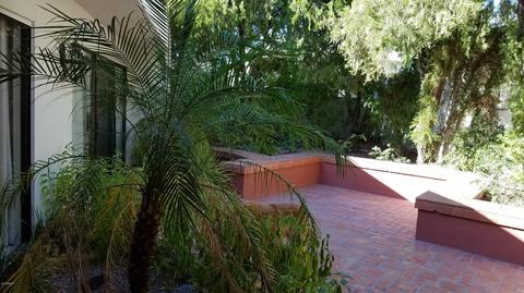 2516 E Oregon Ave, Phoenix, AZ 85016 photo 5