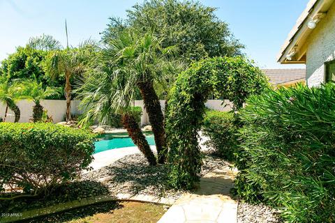 929 E Betsy Ln, Gilbert, AZ 85296 photo 23