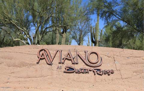 3724 E Maffeo Rd, Phoenix, AZ 85050 photo 21