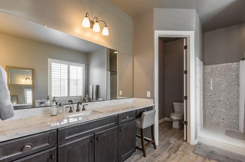 10652 E Stearn Ave, Mesa, AZ 85212 photo 43