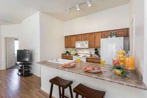 2250 E Deer Valley Rd #101, Phoenix, AZ 85024 photo 9