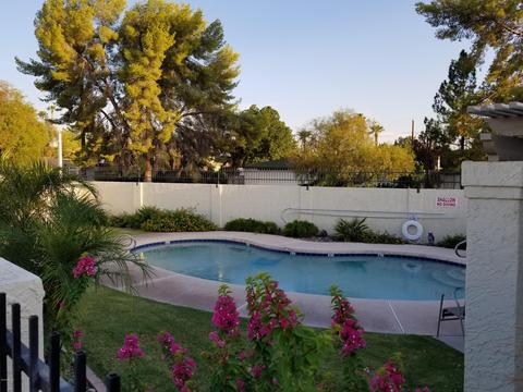 821 E Corte Oro --, Phoenix, AZ 85020 photo 27