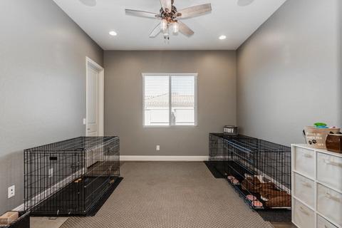 10726 Evergreen St, Mesa, AZ 85207 photo 21