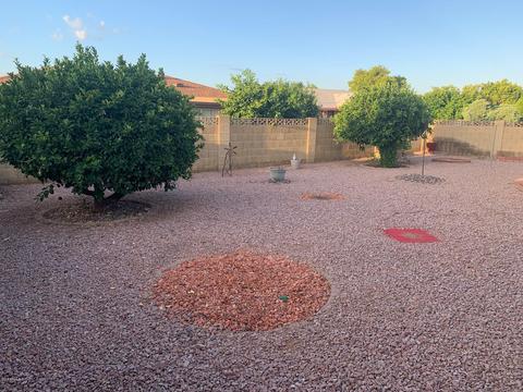6527 E Barstow St, Mesa, AZ 85205 photo 21