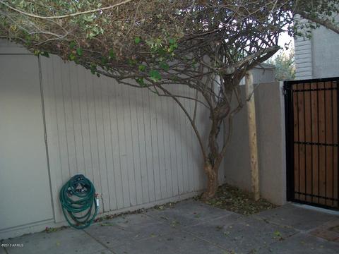 31 W Pasadena Ave #9, Phoenix, AZ 85013 photo 21