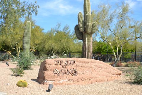 3903 E Williams Dr, Phoenix, AZ 85050 photo 46