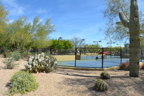 3903 E Williams Dr, Phoenix, AZ 85050 photo 62