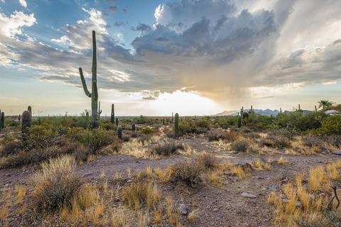 3083 N Geronimo Rd, Apache Junction, AZ 85119 photo 23