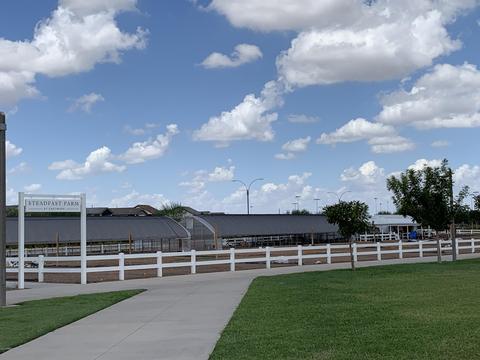 10426 E Topaz Ave, Mesa, AZ 85212 photo 44