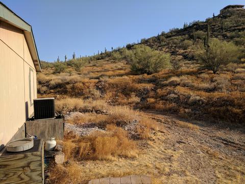 3115 W Blue Eagle Ln, Phoenix, AZ 85086 photo 4