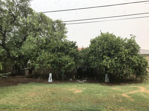 303 Elm St, Phoenix, AZ 85012 photo 11