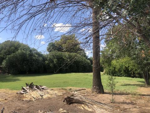 741 E Southern Ave, Phoenix, AZ 85040 photo 12