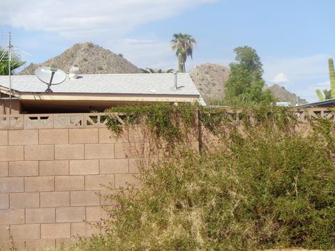 2408 E Aldine St, Phoenix, AZ 85032 photo 29