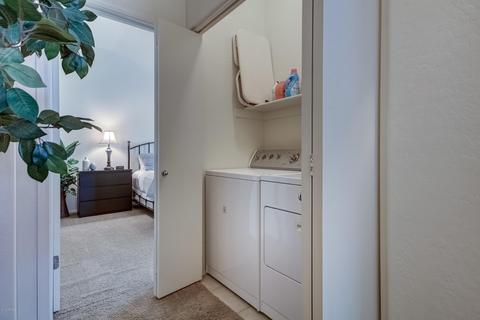 2024 S Baldwin St #42, Mesa, AZ 85209 photo 23